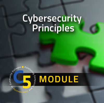 Cybersecurity Principles Module