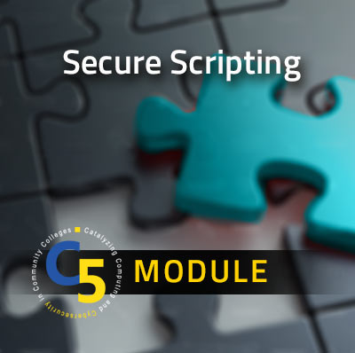 Secure Scripting Module