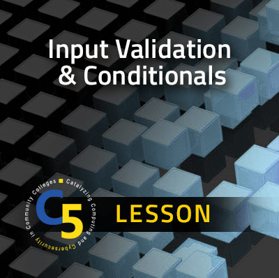 Input Validation and Conditionals Lesson