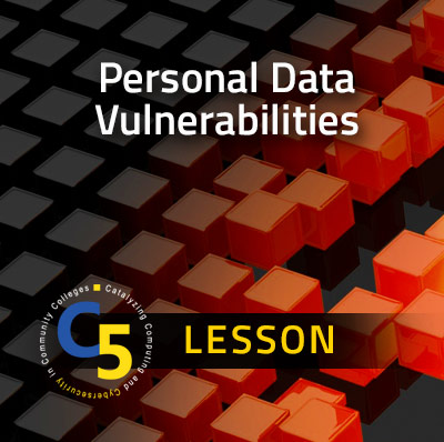 Personal Data Vulnerabilities Lesson