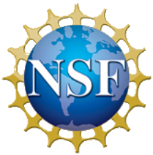 Footer - Logo - NSF